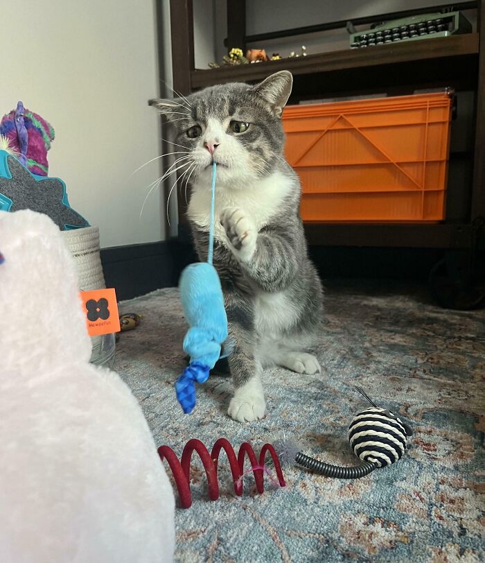 Day 2 of Fostering and Yep, We’re Already Foster Fail Ready