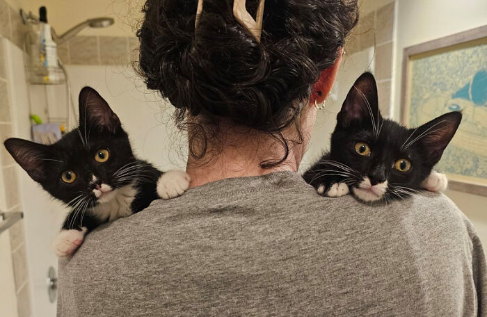 I’ve Officially Foster Failed Today — No Regrets