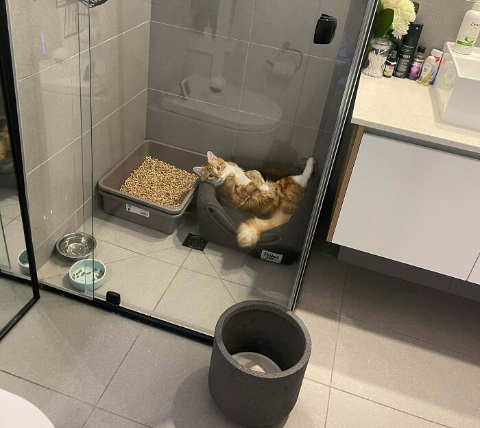 Taking Bed Rest Super Seriously, Like a Pro!