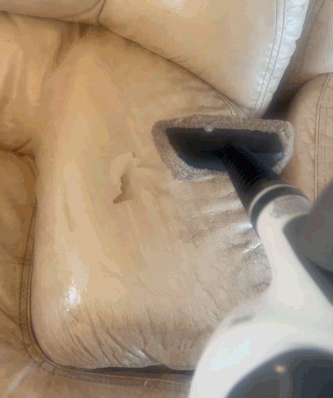 Become an Eco-Warrior With This Multi-Surface Natural Steam Cleaner Just in Time for Judgment Day (AKA In-Law Visit)