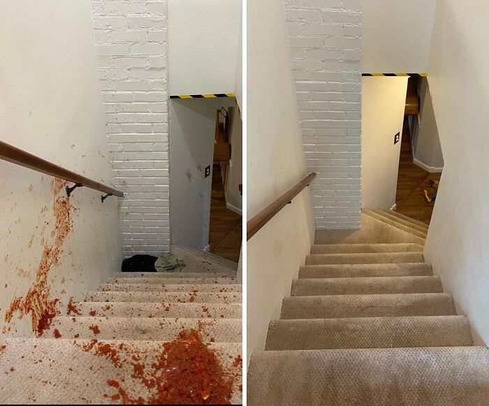 Folex Instant Carpet Spot Remover Wipes That Red Wine Stain Off The History Books