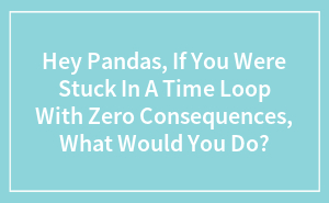 Stuck in a Time Loop? Here’s What Weird Stuff People Would Do!