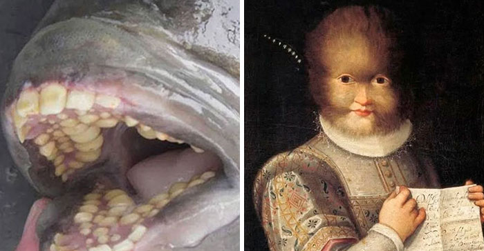 Wait, They Actually Shared These Wild Stories?! 40 Truly Bizarre Tales to Make Your Day