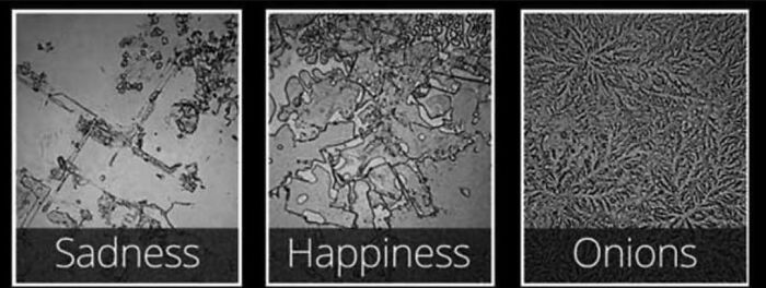 Wait, They Actually Shared These Wild Stories?! 40 Truly Bizarre Tales to Make Your Day