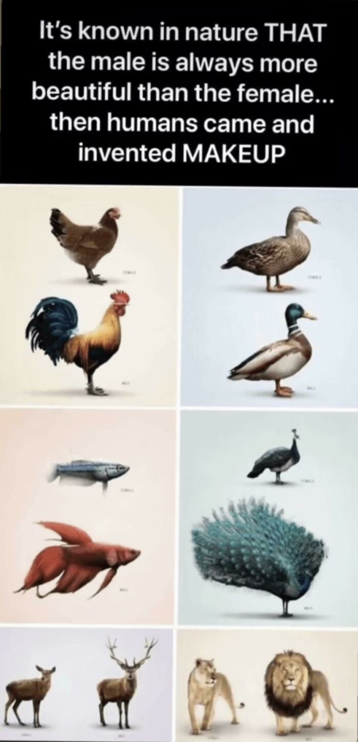 Yep, You Totally Got Us There