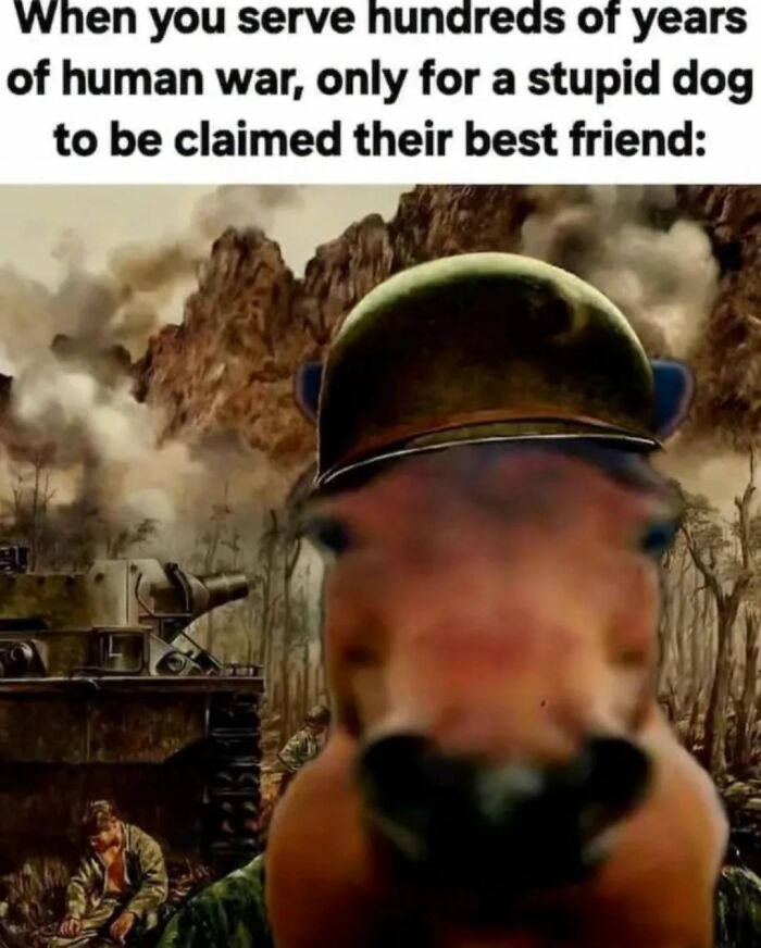 These History Memes Will Totally Crack You Up (Even If You’re Not a History Buff)