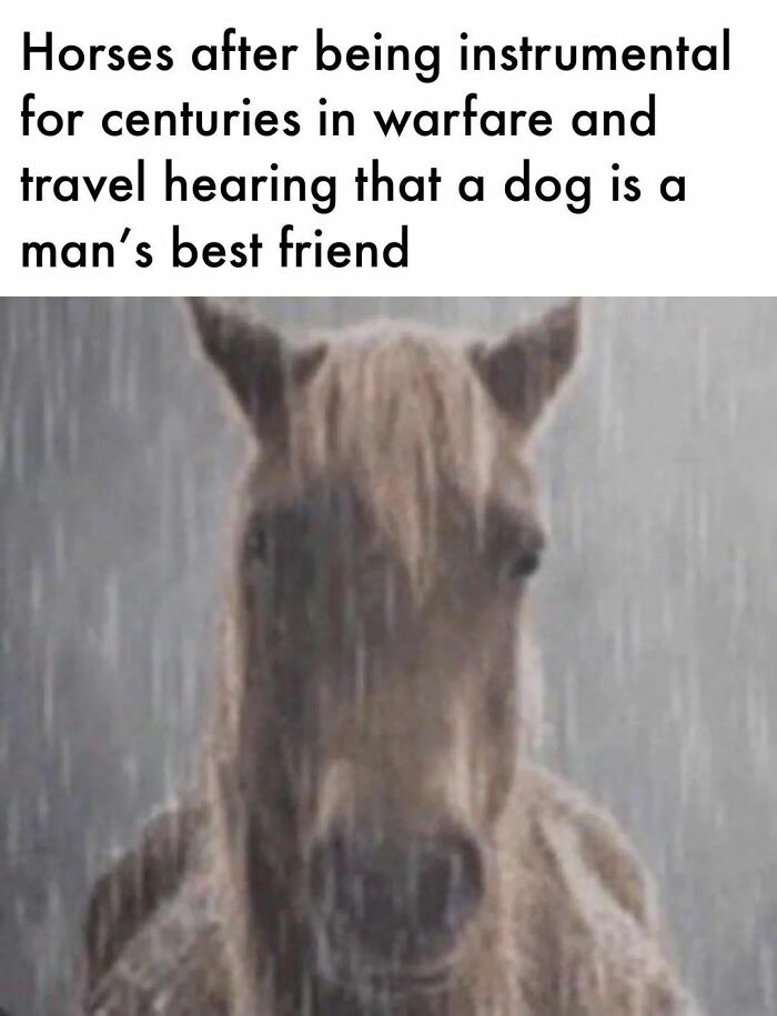 These History Memes Will Totally Crack You Up (Even If You’re Not a History Buff)