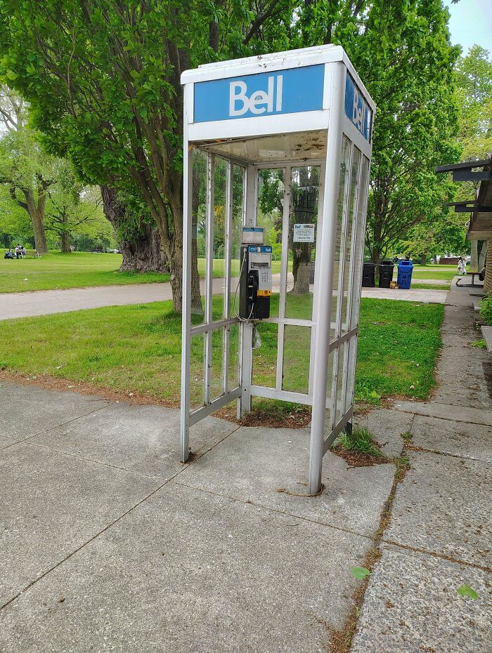 Spotted Two Of These In The Wild Today!