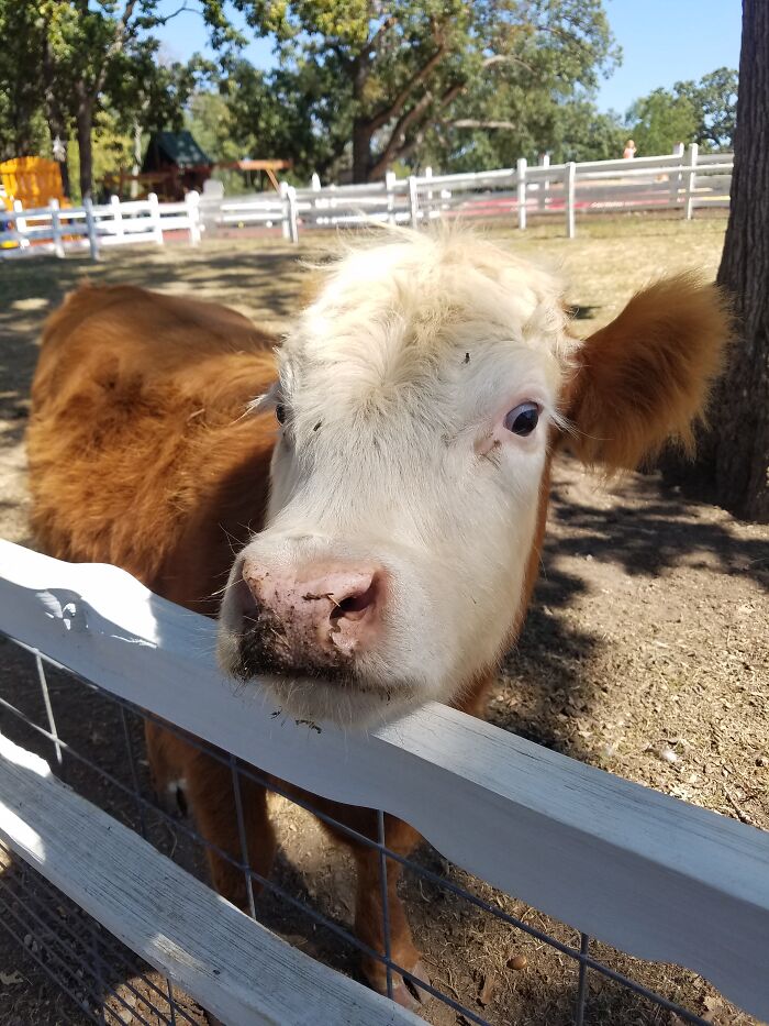 Dulce Is Dreaming Of 2026 Already