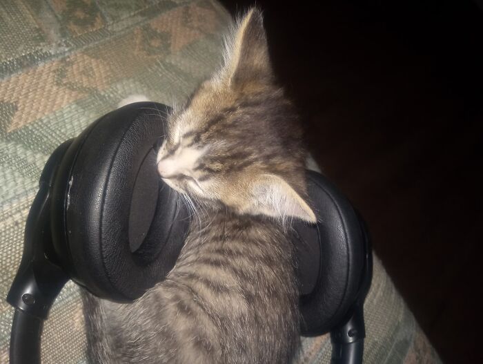 Lacy’s Settled In For A Long Sad Music Marathon