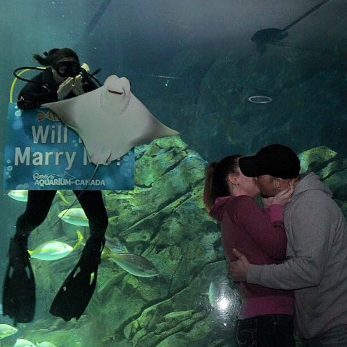 These Photobombs Totally Stole The Show And We Can't Stop Laughing