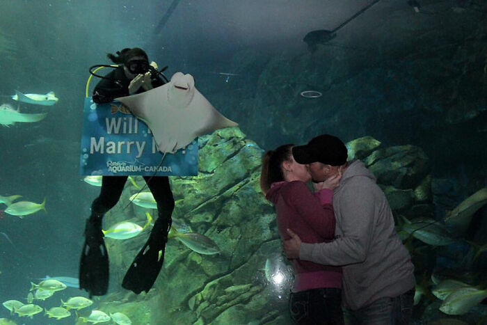 He Proposed At An Aquarium, But The Stingray Stole Every Pic
