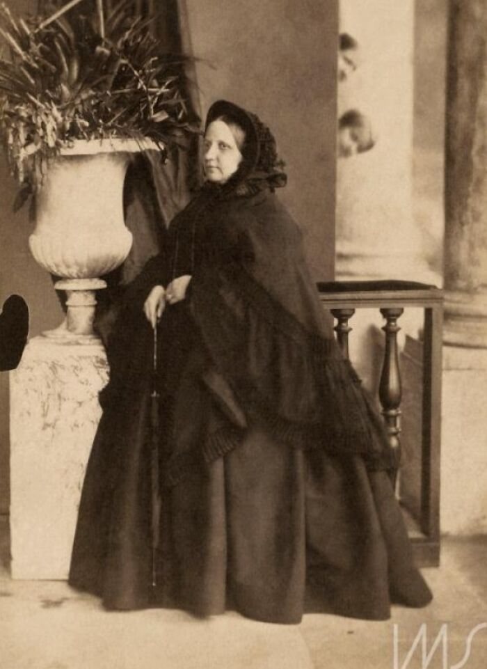 These Photobombs Totally Stole The Show And We Can't Stop Laughing