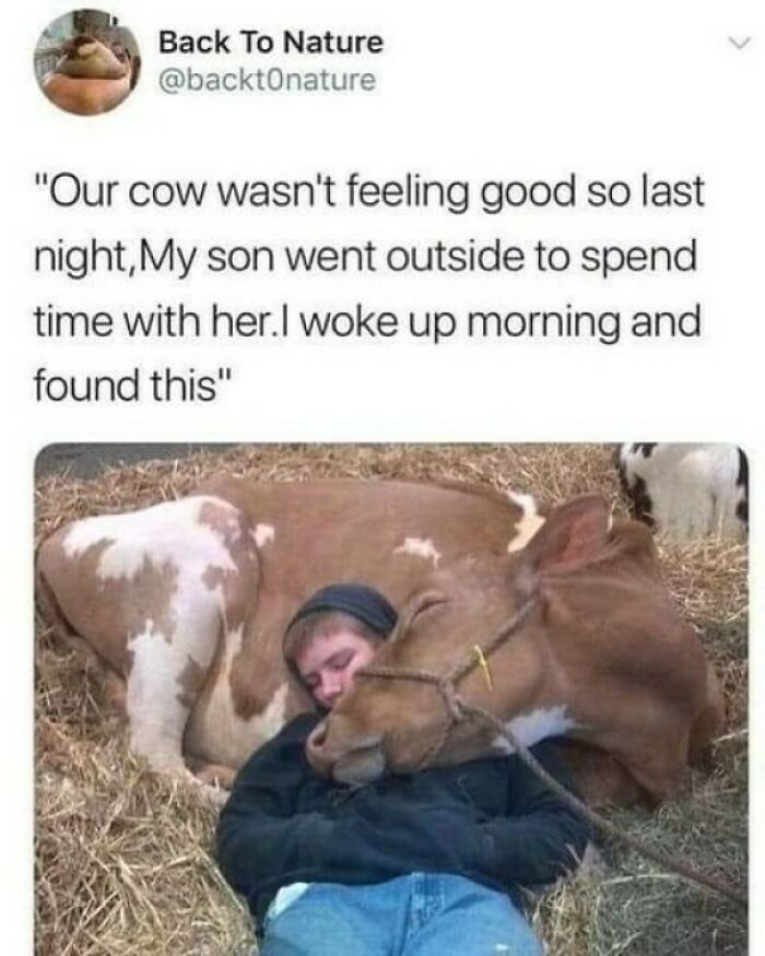 Meme That’s Basically a Workday Mood