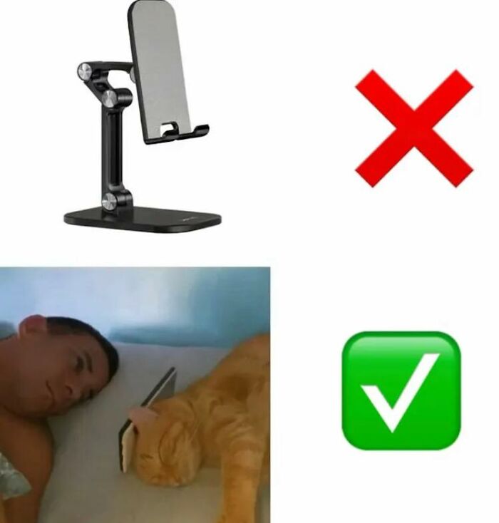 Pets Doing What They Do Best: Being Hilariously Adorable