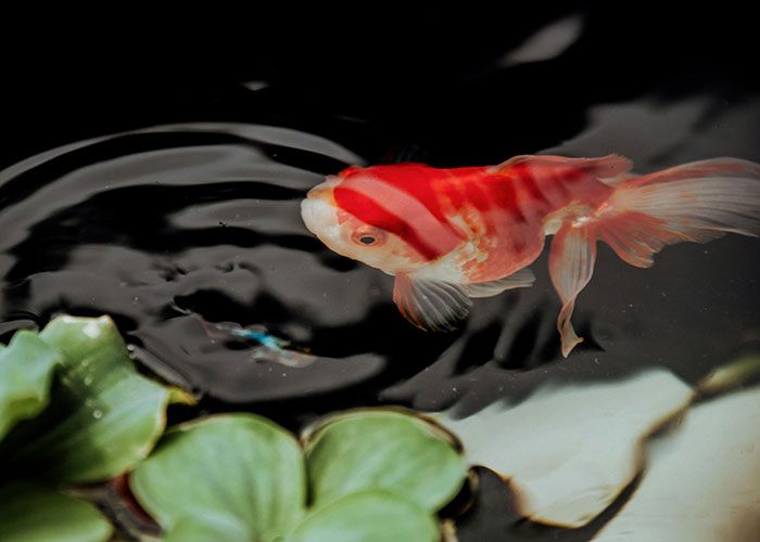 Wait, They Actually Told These Wild Mental Hospital Stories?!