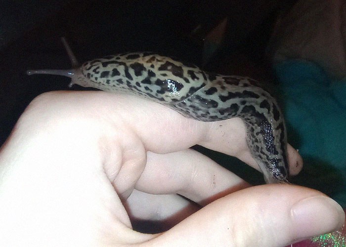 23 Reddit Stories That Totally Gave Us the Heebie-Jeebies