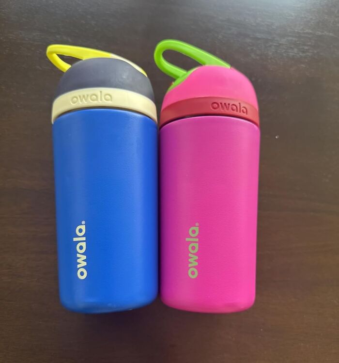 A Grown-Up Sippy Cup? Yes! Meet The Owala Flip Insulated Stainless-Steel Water Bottle