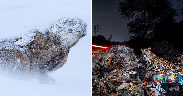 Nature’s Coolest Snapshots That’ll Totally Blow Your Mind