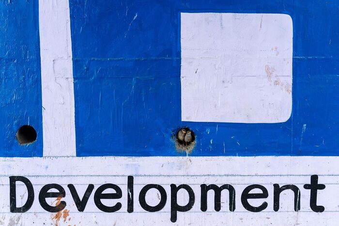 Special Mention Coexistence: "Development"