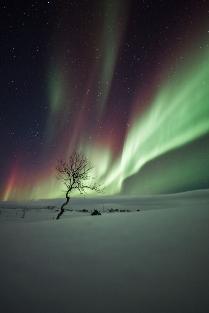 Chasing Northern Lights: The Coolest Spots & Times to See Them (13 Pics!)