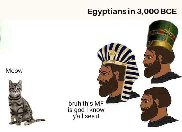 50 Ancient Egypt Memes That Are Way Funnier Than Your History Class