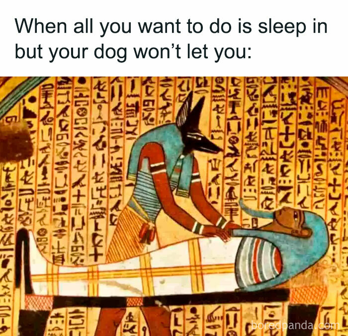 50 Ancient Egypt Memes That Are Way Funnier Than Your History Class