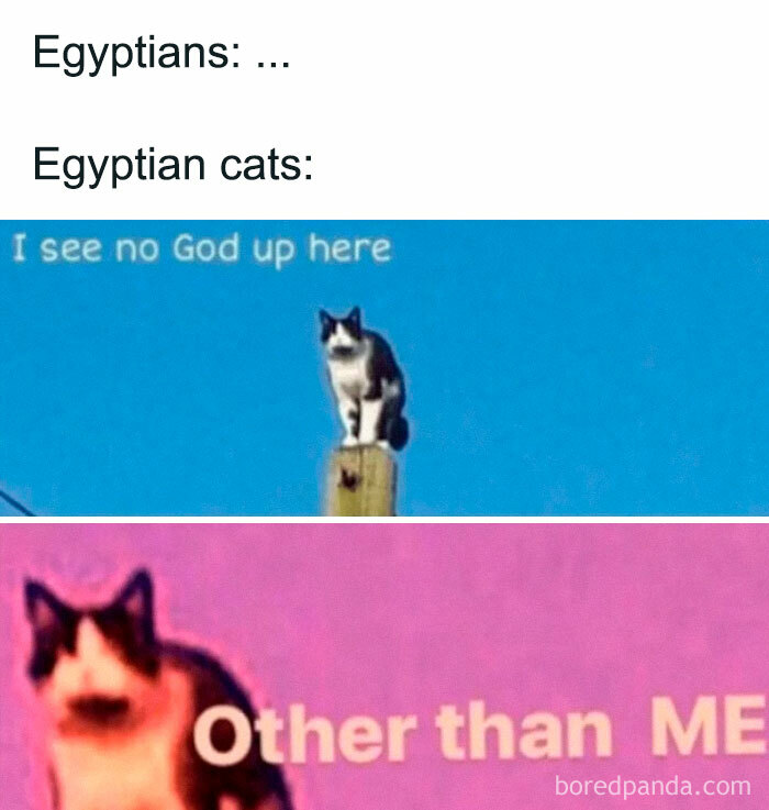 50 Ancient Egypt Memes That Are Way Funnier Than Your History Class