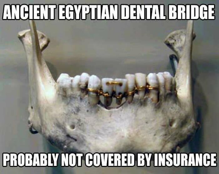 50 Ancient Egypt Memes That Are Way Funnier Than Your History Class