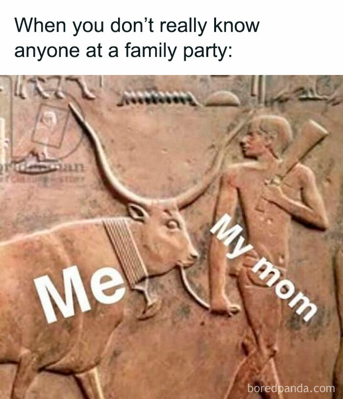50 Ancient Egypt Memes That Are Way Funnier Than Your History Class