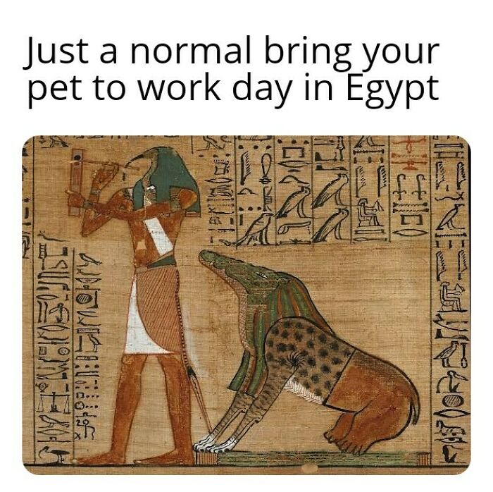 50 Ancient Egypt Memes That Are Way Funnier Than Your History Class