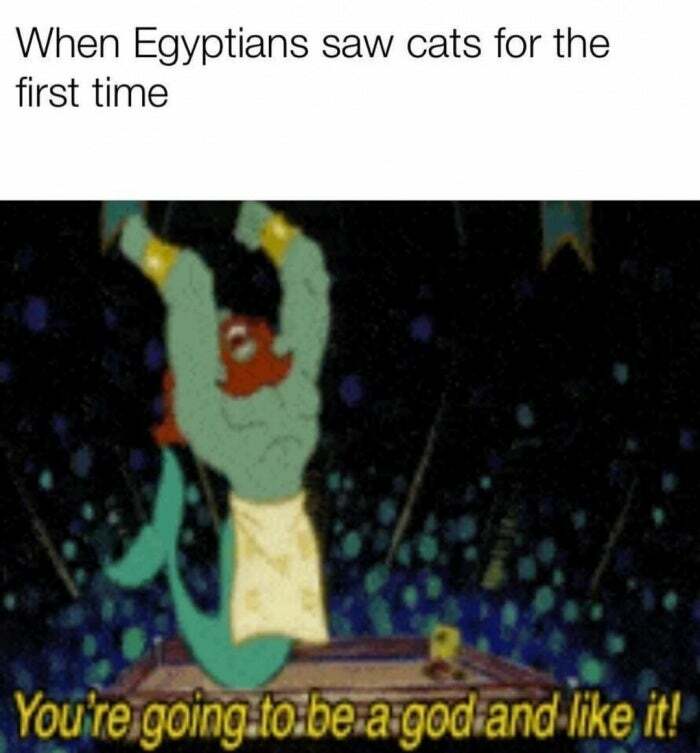 50 Ancient Egypt Memes That Are Way Funnier Than Your History Class