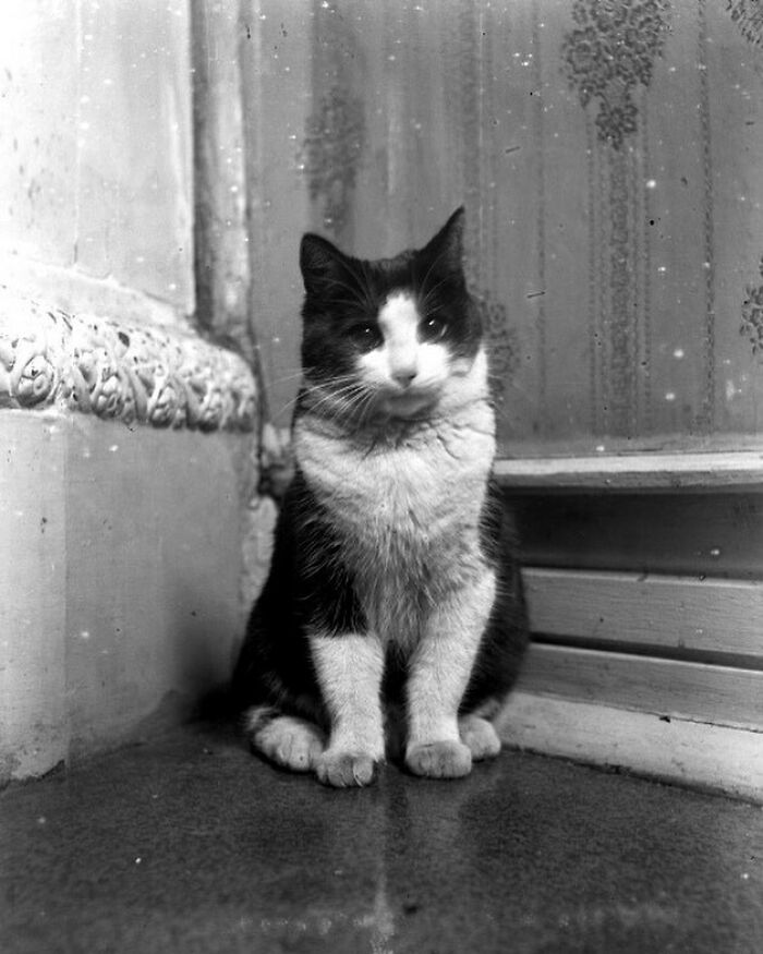 These Victorian Photos Are Weird, Wonderful, and Totally Worth a Peek