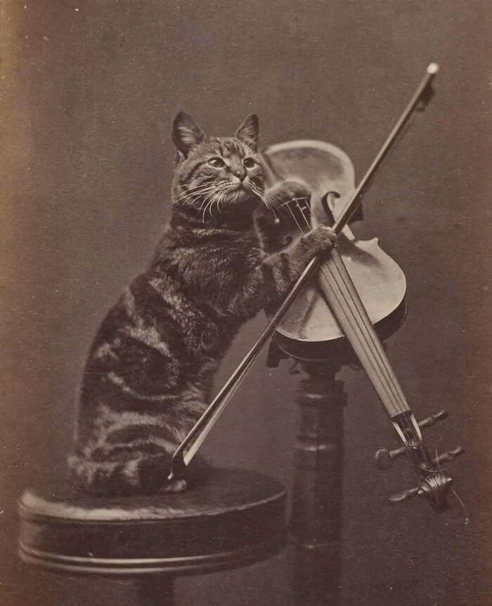 These Victorian Photos Are Weird, Wonderful, and Totally Worth a Peek
