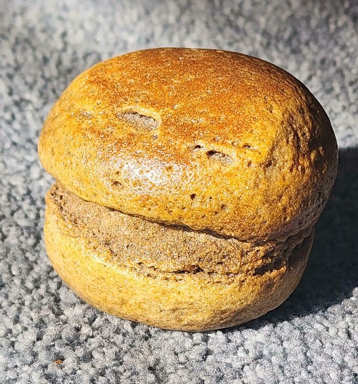 This Rock Pretending To Be A Hamburger Is Kinda Genius