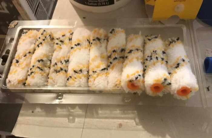 Forbidden Sushi Rice Rolls That Are Totally Not Food