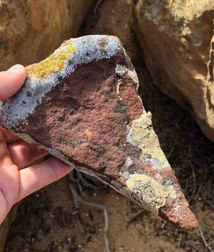 Forbidden Pizza That Doesn’t Even Have Cheese