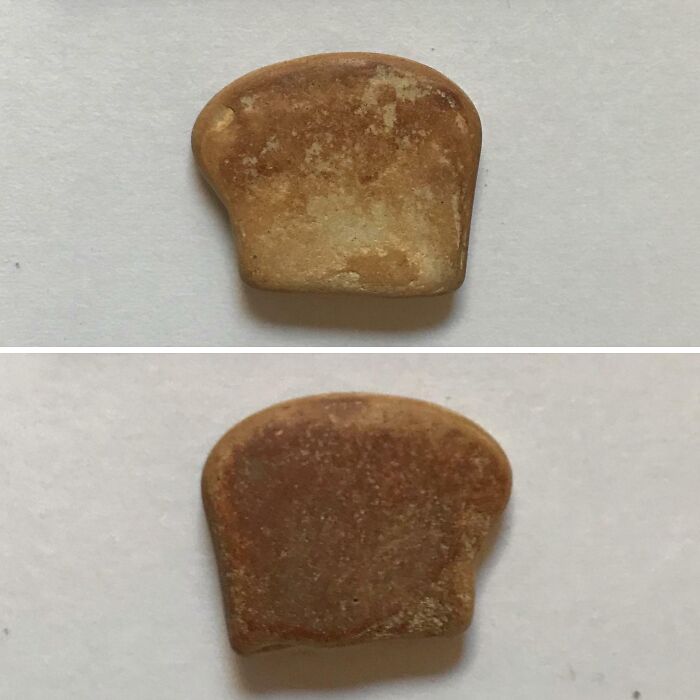 Found A Pebble That Looks Like French Toast – Breakfast Confusion!