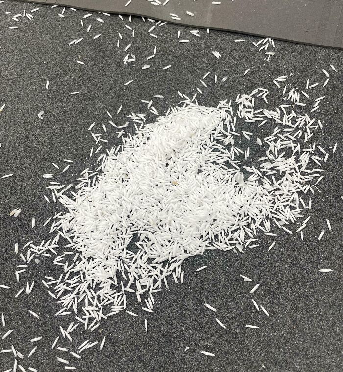Forbidden Rice That’s Just Sawdust in Disguise