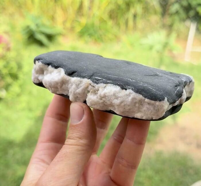 Ice Cream Sandwich That’s Just a Rock in Disguise