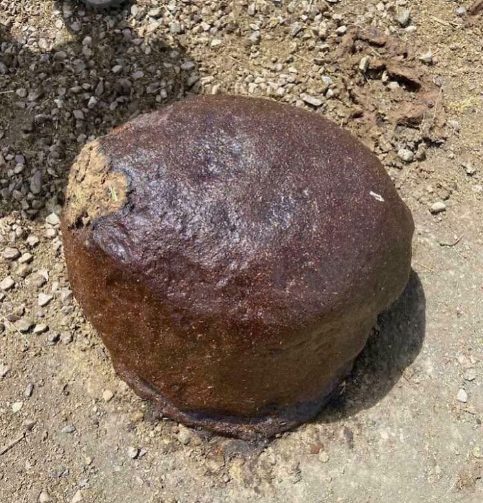 Found In The High Desert – Looks Sticky, Not a Muffin!