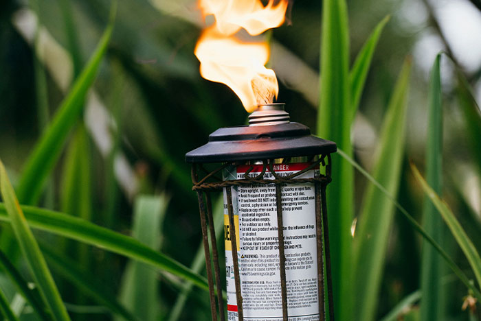 Wait, They Actually Escaped Because of a Gut Feeling? Yep!