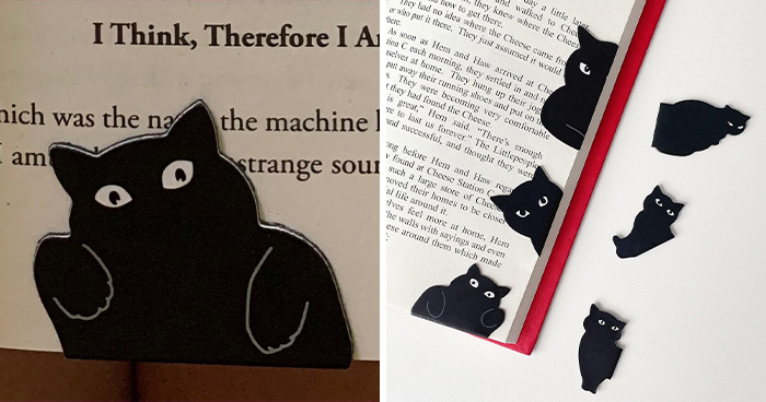 22 Awesome Things Under $10 That Should Totally Be Illegal