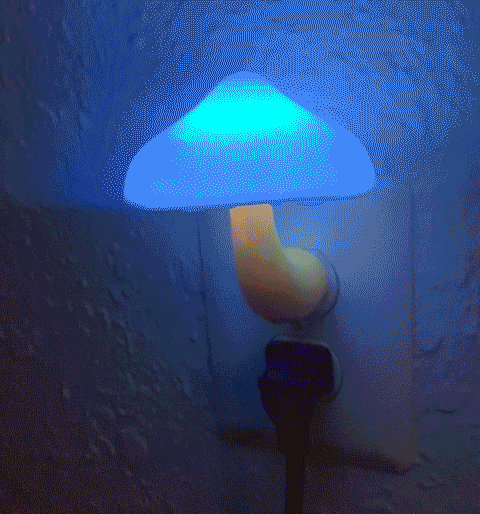 Brighten Up Your Room Like A Magical Mushroom With This LED Mushroom Night Light