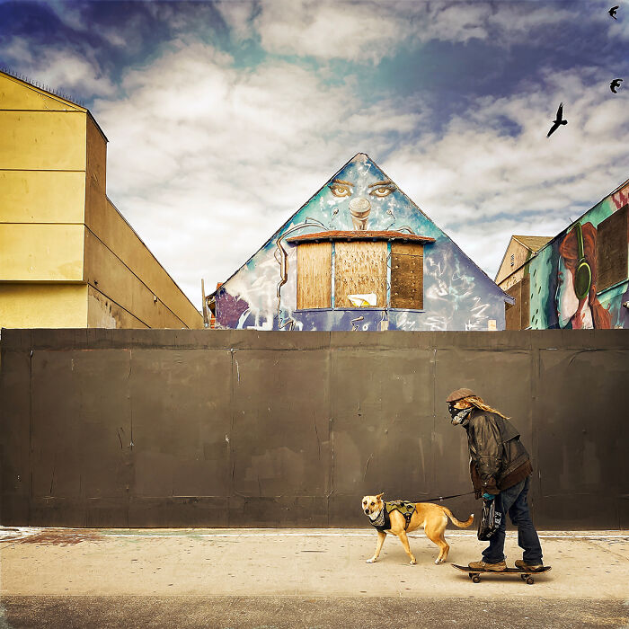 Surveillance by Alon Goldsmith – Big Brother’s Watching but It’s Cool Here