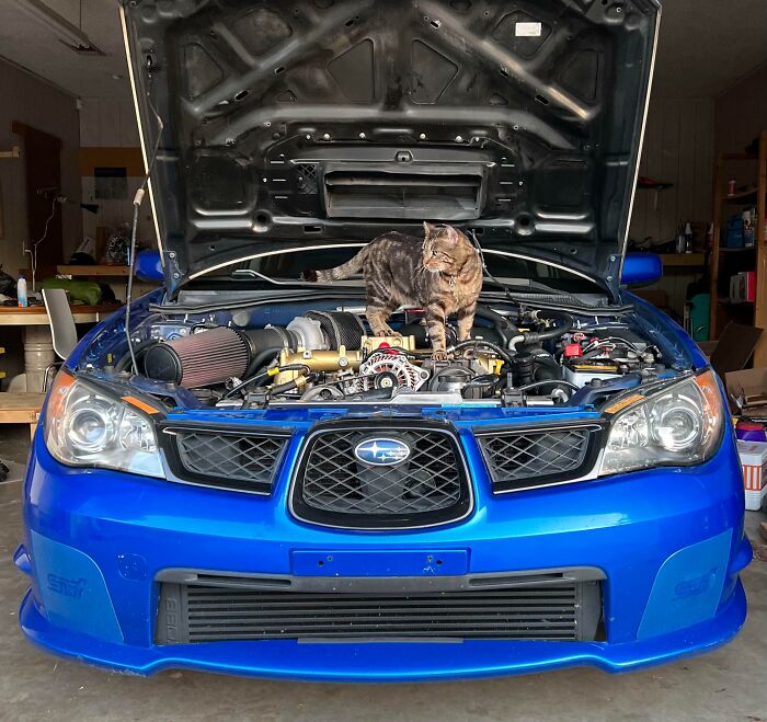 "Buddy, I See the Problem: Your Turbo’s in the Totally Wrong Spot"