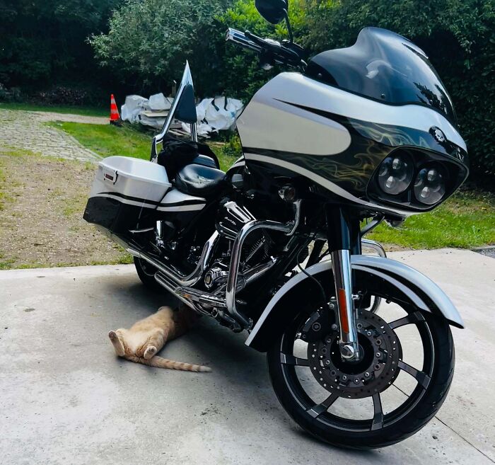 She Was Apparently a Mechanic in a Past Life. No Questions Asked.