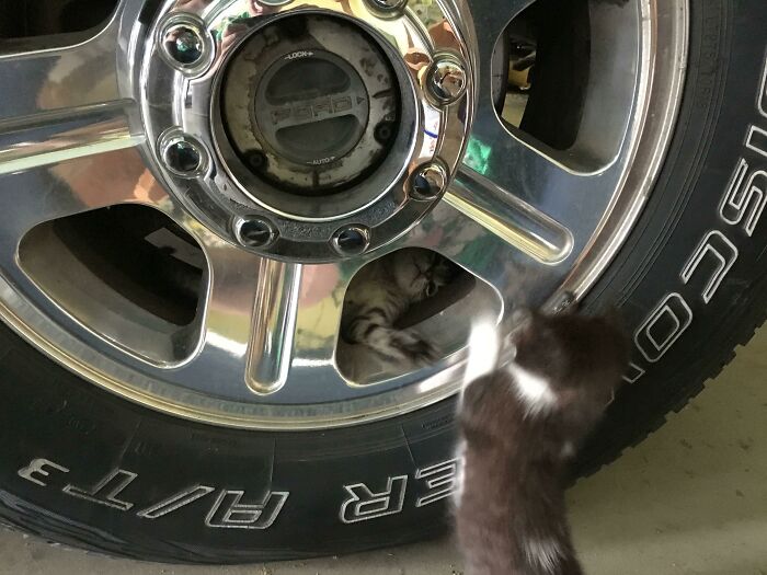 Hey, Can You Hand Me That Wrench? I Need to Get to Work!