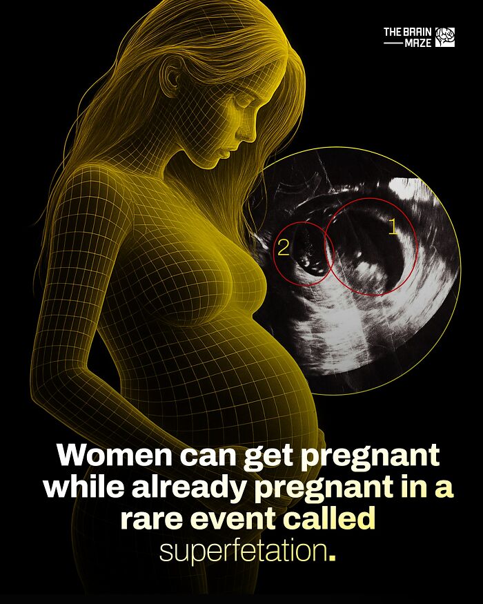 20 Mind-Blowing Body Facts That Will Totally Surprise You