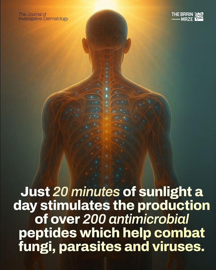 20 Mind-Blowing Body Facts That Will Totally Surprise You